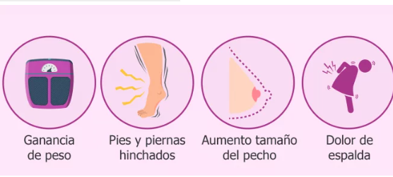 DESARROLLO DE 17 A 20 SEMANAS Síntomas y cambios del bebe