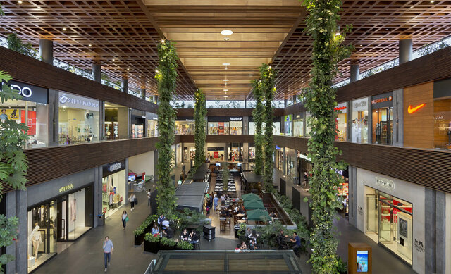 Auge de Plazas Comerciales