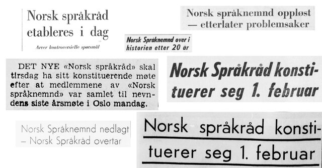 Norsk språkråd blir opprettet