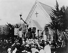 David Kalakaua´s Death