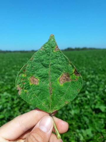 ● OTRAS NOCIONES DE CAUSAS
