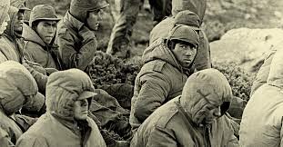 Auditores de la Marina y Guerra