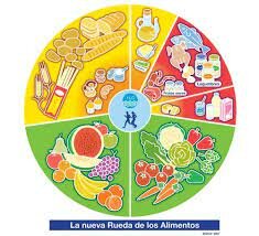 Clasificación de los componentes de los alimentos