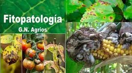 Timeline: Fase 1 Origen de la enfermedad y generalidades de los fitopatógenos.