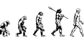 Timeline: Evolución Humana
