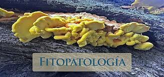 OTRAS NOCIONES DE CAUSAS