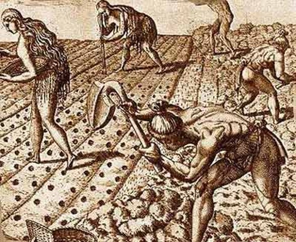 Farming in the Middle Ages