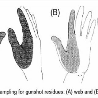 Firearm Discharge Testing