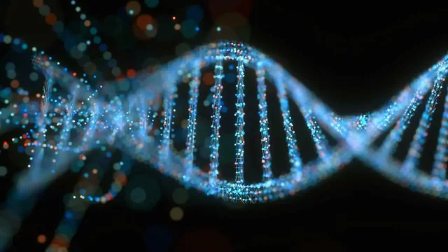 DNA Recognition