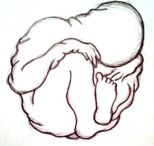 Tabula Rasa, John Locke