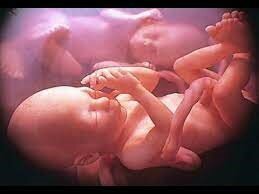 7mo. Mes de embarazo