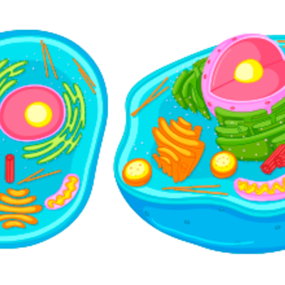 Timeline: Teoría celular