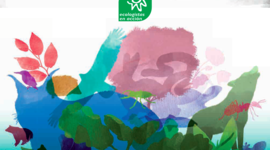 Timeline: Desarrollo sustentable evolución del concepto