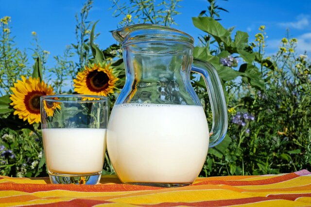 Leche transgénica