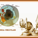 Teoria celular