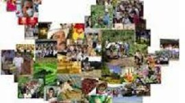 Timeline: LINEA DE TIEMPO CON EVOLUCION ANTROPOLOGICA CULTURAL DE LOS 2 MUNICIPIOS DE ANTIOQUIA ( Giraldo Y Bello)