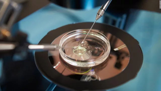 Bebé de Laboratorio