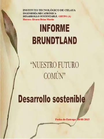 Informe Brundtland “Nuestro Futuro Común”