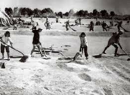 Cooperativas y comunas en China