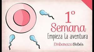 Primer semana
