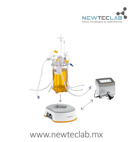 Bioreactor de mesa y Fed-Batch