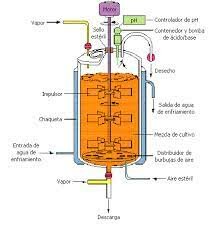 Biorreactor de tanque agitado