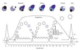 La teoría cósmica o sideral