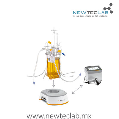 Timeline: Desarrollo histórico de Biorreactores - Chavez Ramirez