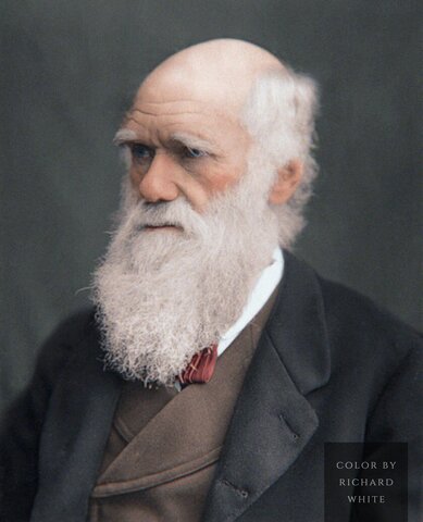 Charles Darwin