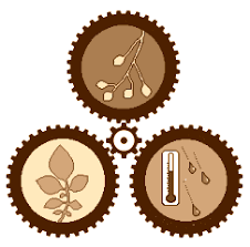 OTRAS NOCIONES AS NOCIONES DE CAUSAS