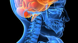 Timeline: Neuropsicología clínica