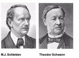 Matthias Schleiden y Theodor Schwan