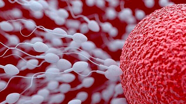 Antón Van Leeuwebkhoeck