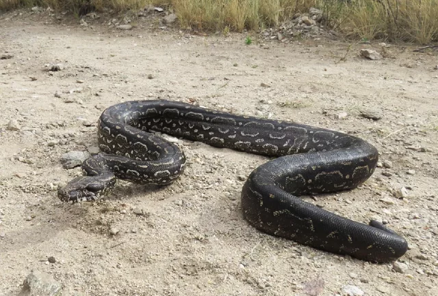 Fragmentación del hábitat