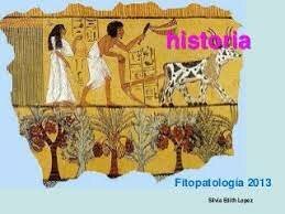 Otras nociones de causas