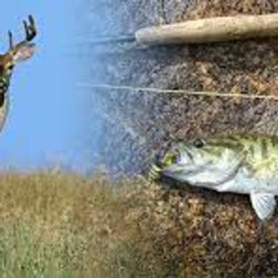 Timeline: Beginning of fishing