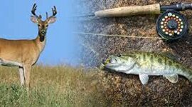 Timeline: Beginning of fishing