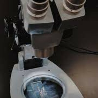 Timeline: Línea del Tiempo de la Histología y Microscopía.