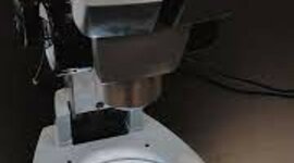 Timeline: Línea del Tiempo de la Histología y Microscopía.