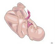 Noveno mes de embarazo