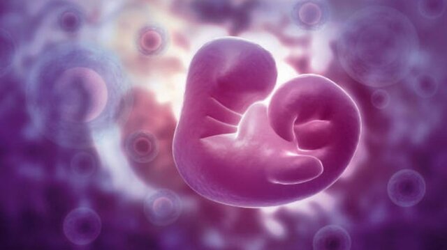 Primer mes de embarazo