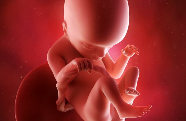 Quinto mes de embarazo