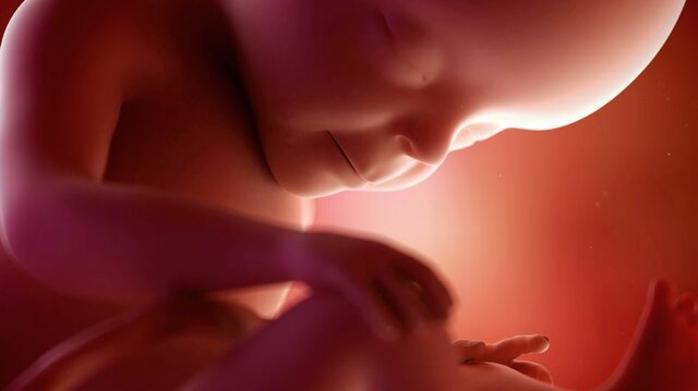 Séptimo mes de embarazo