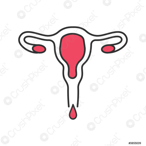 Menstruación