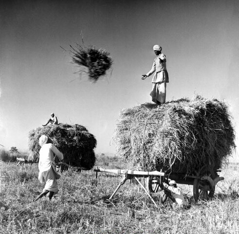 Aumento en el capital humano
