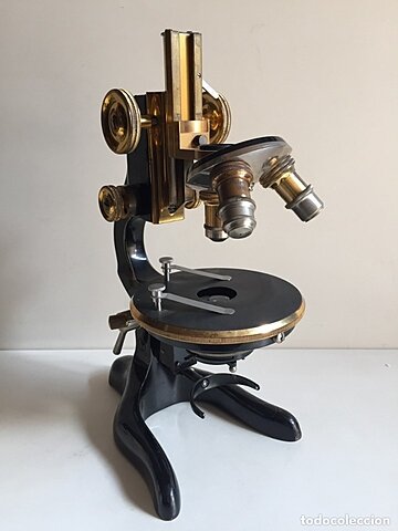 Línea del Tiempo de la Histología y Microscopía. timeline | Timetoast