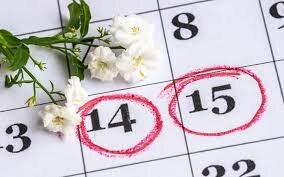 Última menstruación