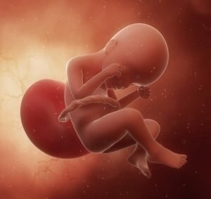 Probabilidad de vida