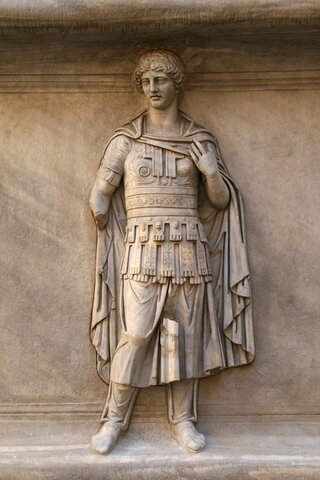 el poder del senado.