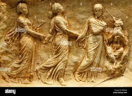 The citizens of the future